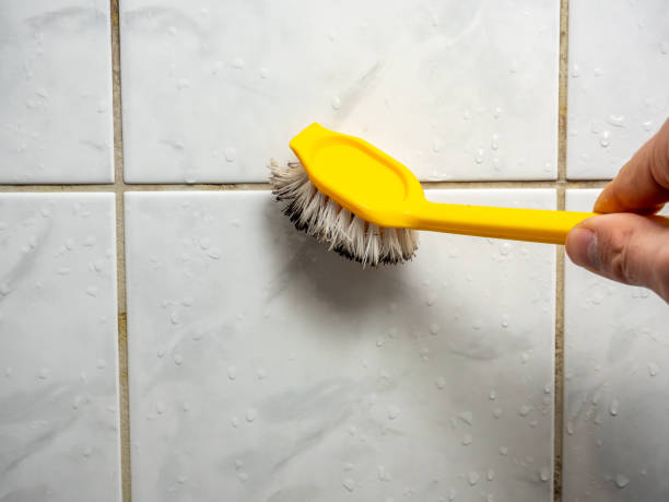Camas, WA Mold Removal Company