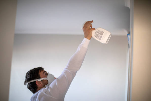 Best Best Mold Removal Companies  in Camas, WA