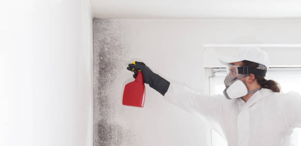 Best Mold Testing  in Camas, WA