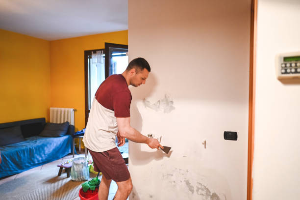 Best Mold Damage Repair  in Camas, WA