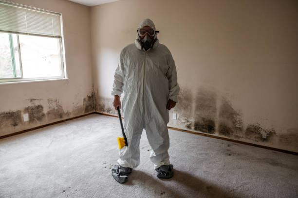 Best Residential Mold Removal  in Camas, WA